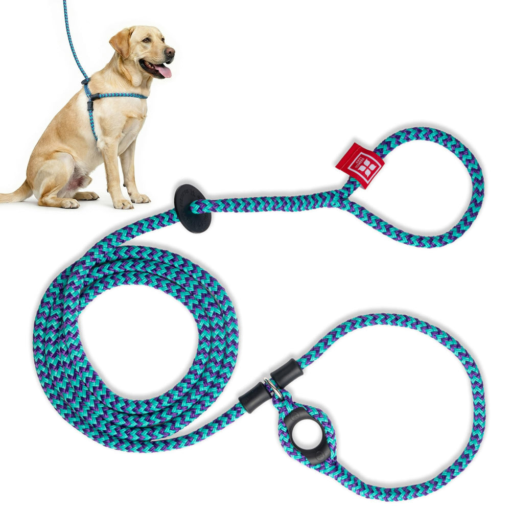 Harness Lead No Pull arnés para perro morado-aguamarina en primer plano