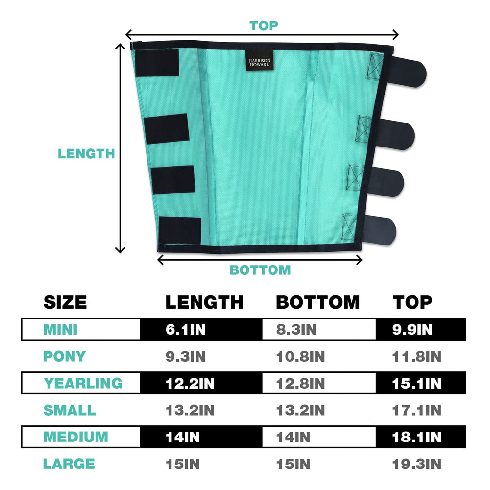 Juego de 4 botas antifly en color menta para entrenamiento y descanso.