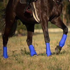 Botas Harrison Howard con diseño de corvejón para entrenamiento estable y protección.