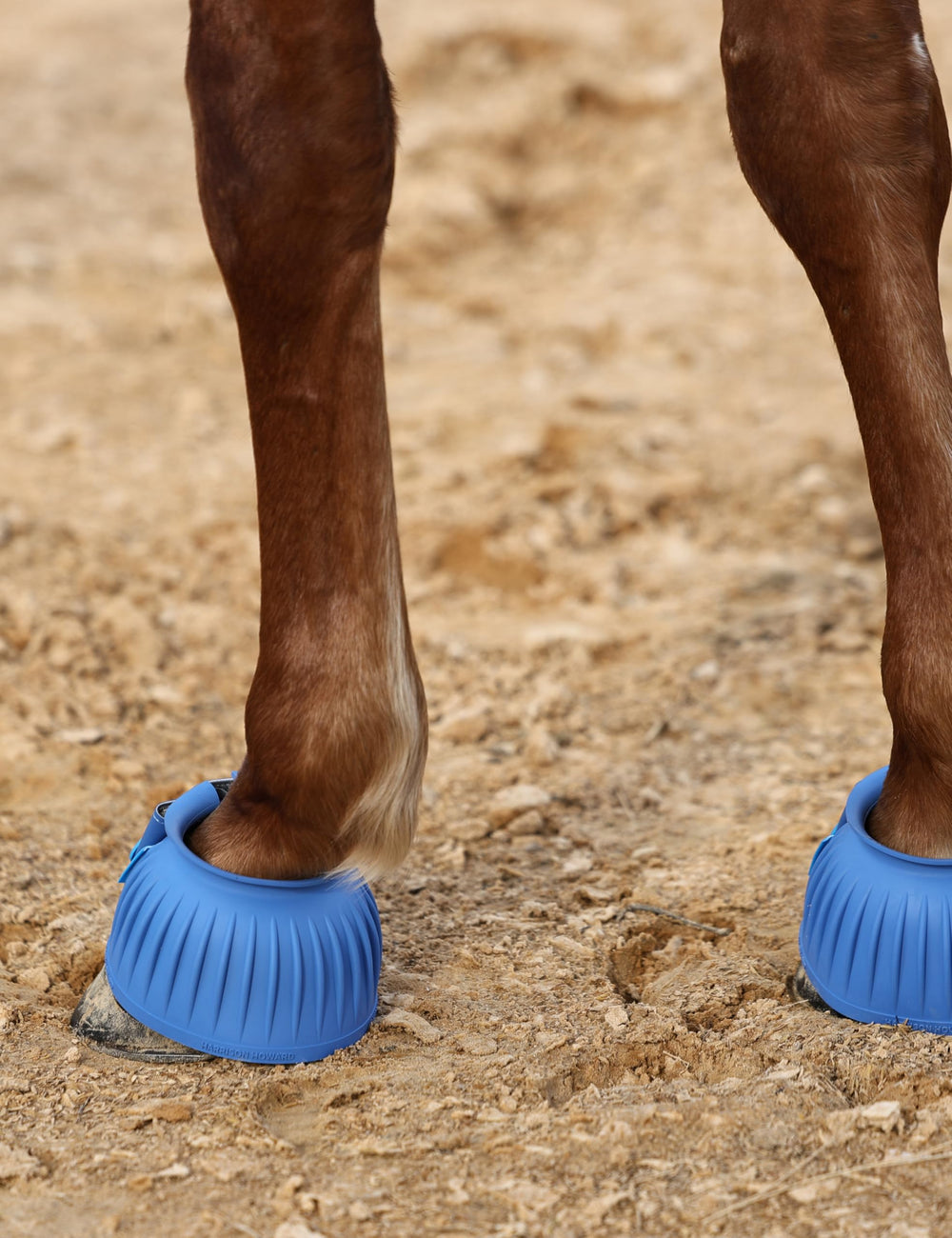 Colores vibrantes disponibles, destacando azul cobalto de Harrison Howard