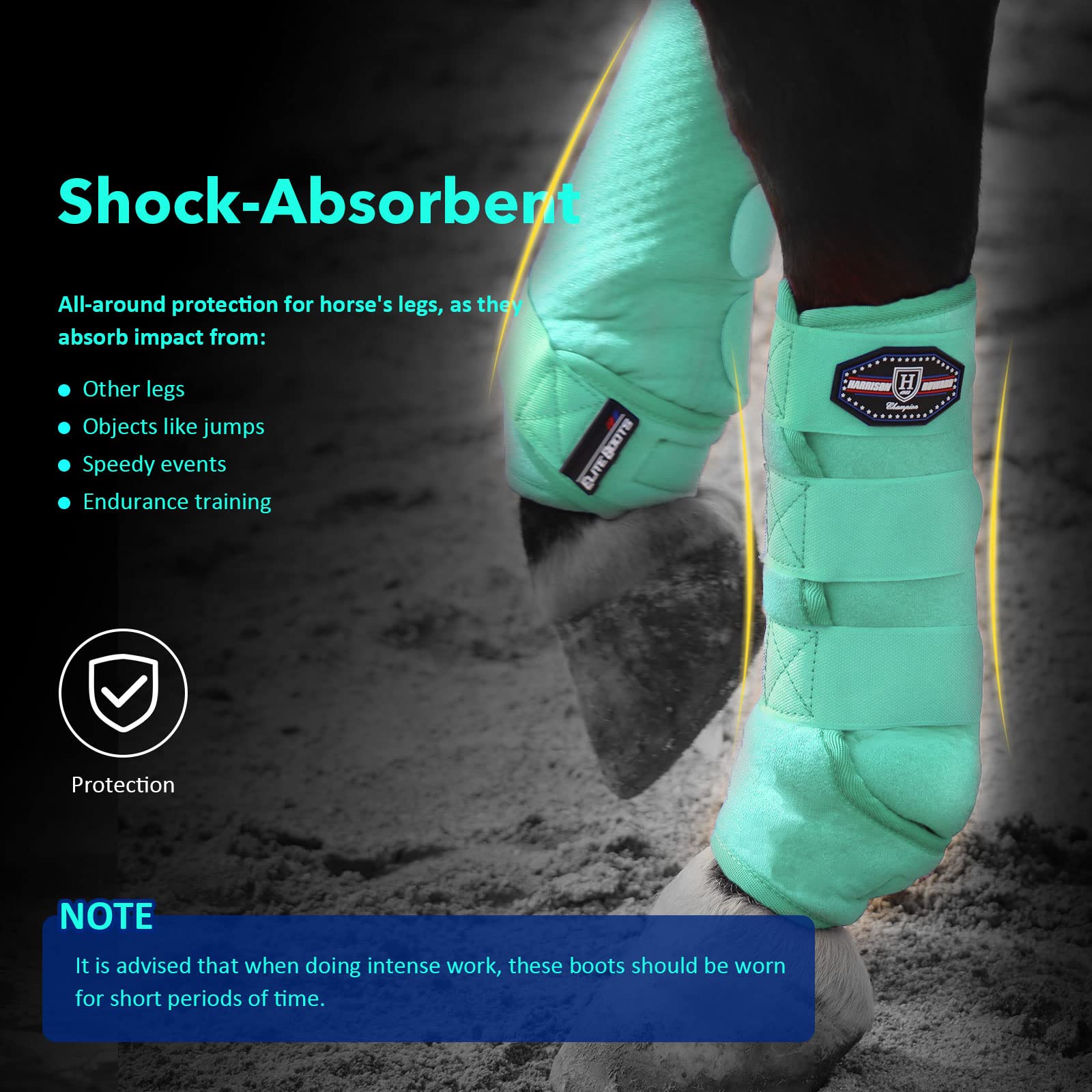Botas de protección ecuestre Harrison Howard — absorbentes frontales, pack 2, talla L, color menta
