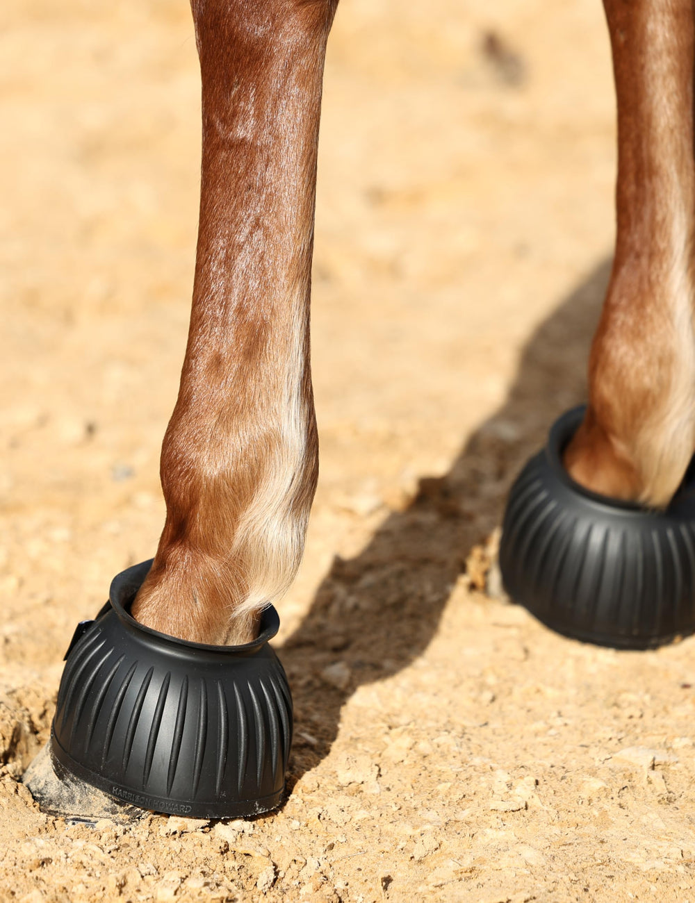 Harrison Howard botas-en-pares listas para uso diario de caballos.
