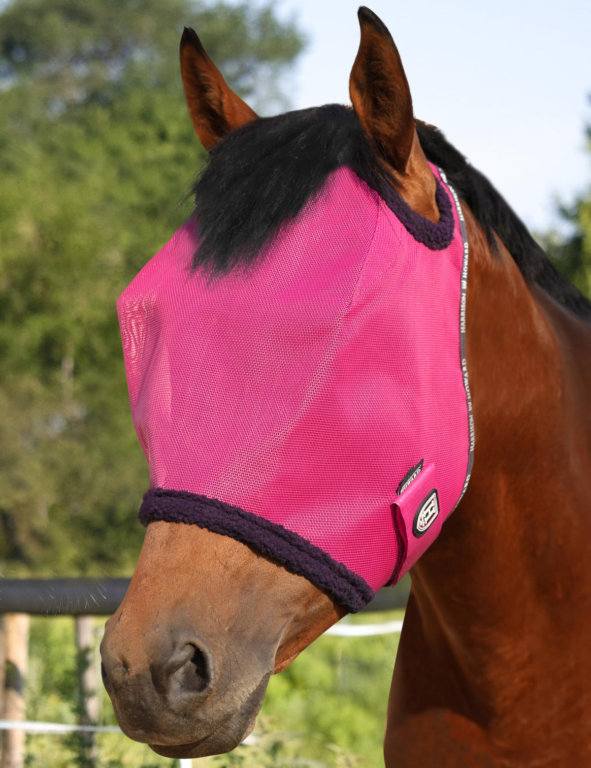 Harrison Howard máscara moscas magenta con protección UV, vista frontal.