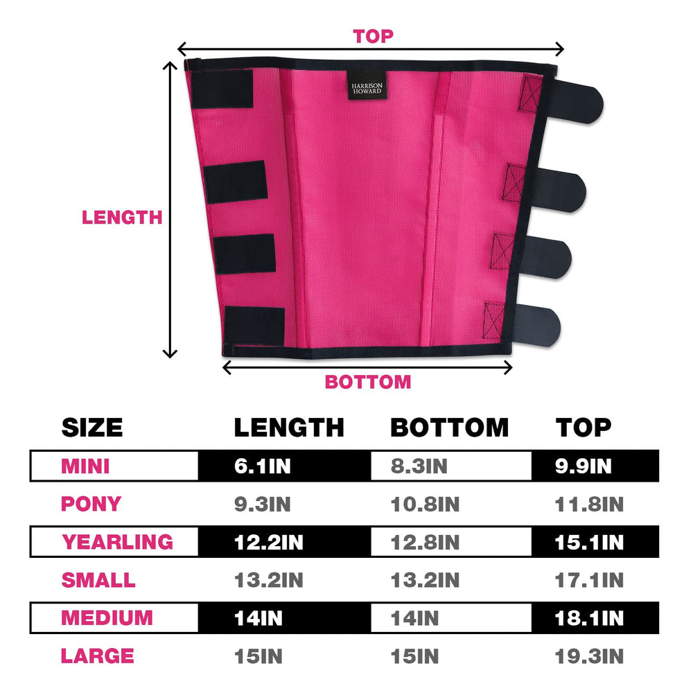Conjunto de 4 botas magenta Harrison Howard para caballos.