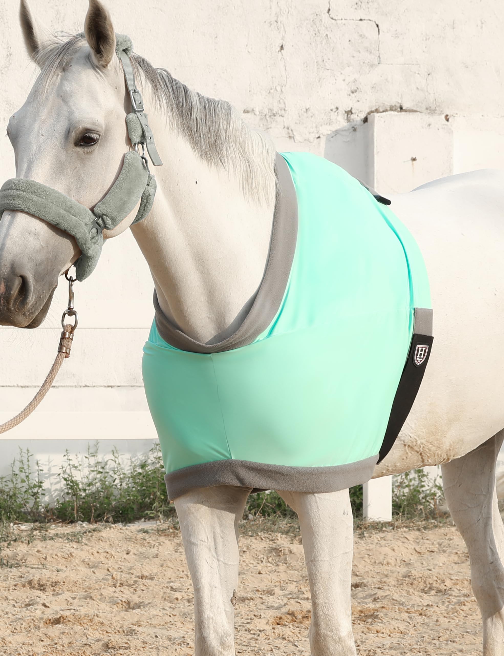 Protector hombro Harrison Howard, diseño ligero y protección suave para el caballo.