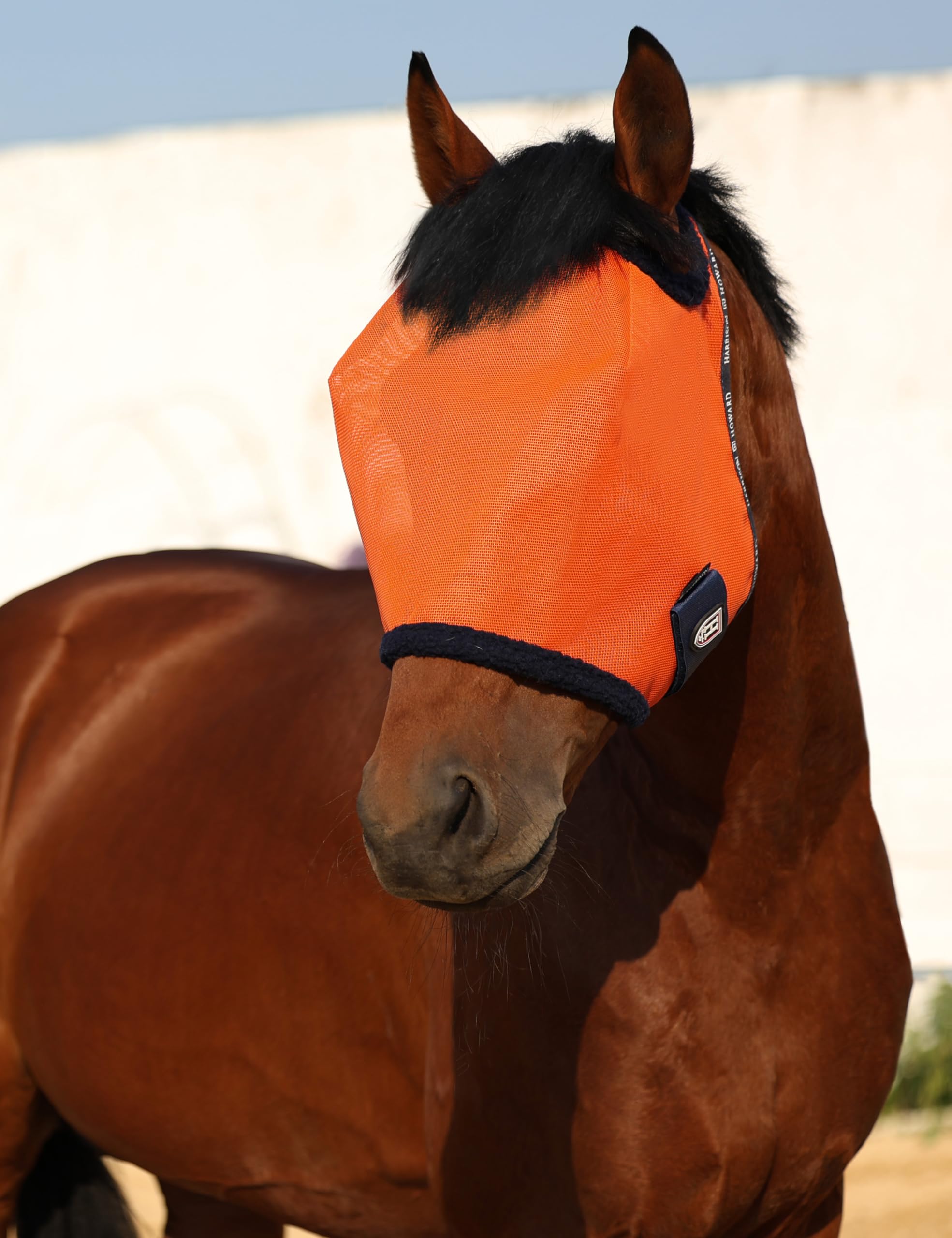 Protección UV con malla densa para caballos relajados