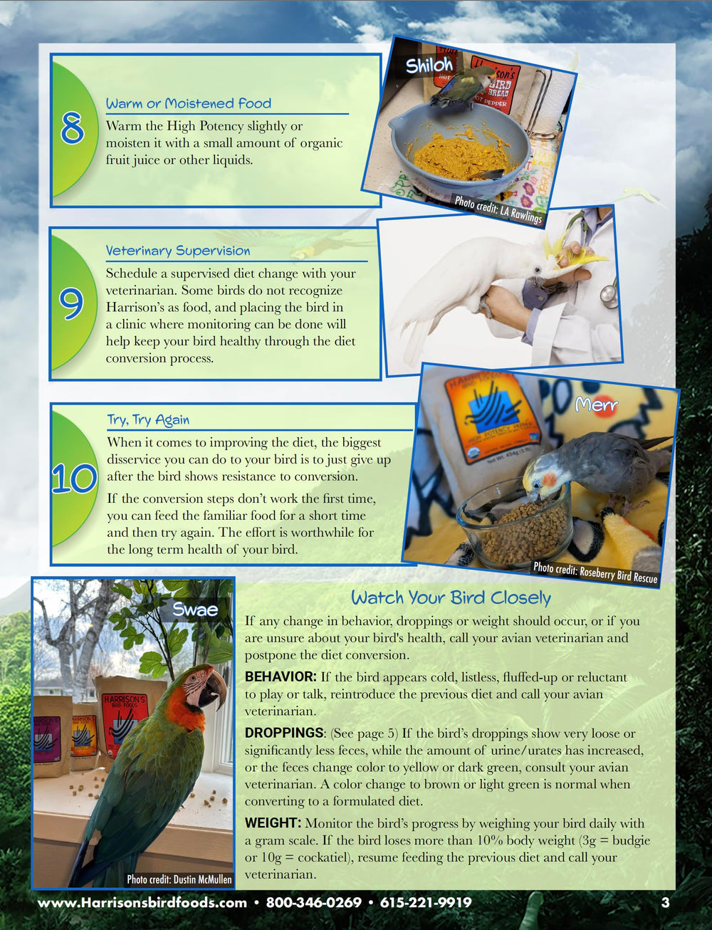 Harrison's Alimento para aves con ingredientes orgánicos de alta calidad.