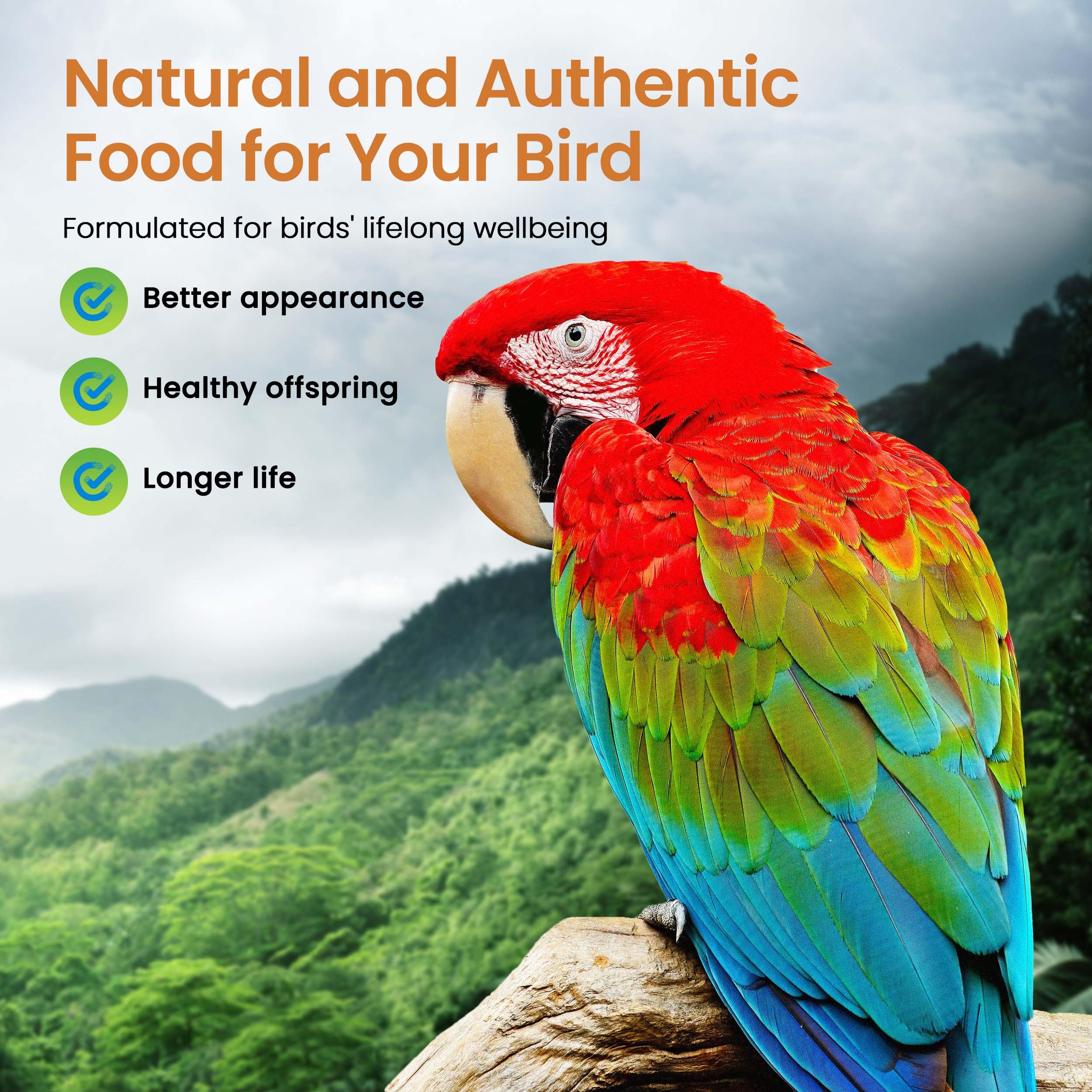 Calidad humana sin blanqueado en Harrison's Bird Foods