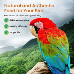 Calidad humana sin blanqueado en Harrison's Bird Foods