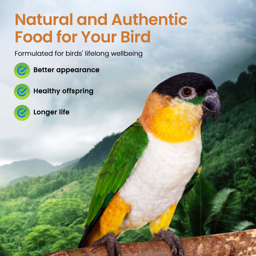 Granos y legumbres orgánicos de Harrison's Bird Foods para nutrición.