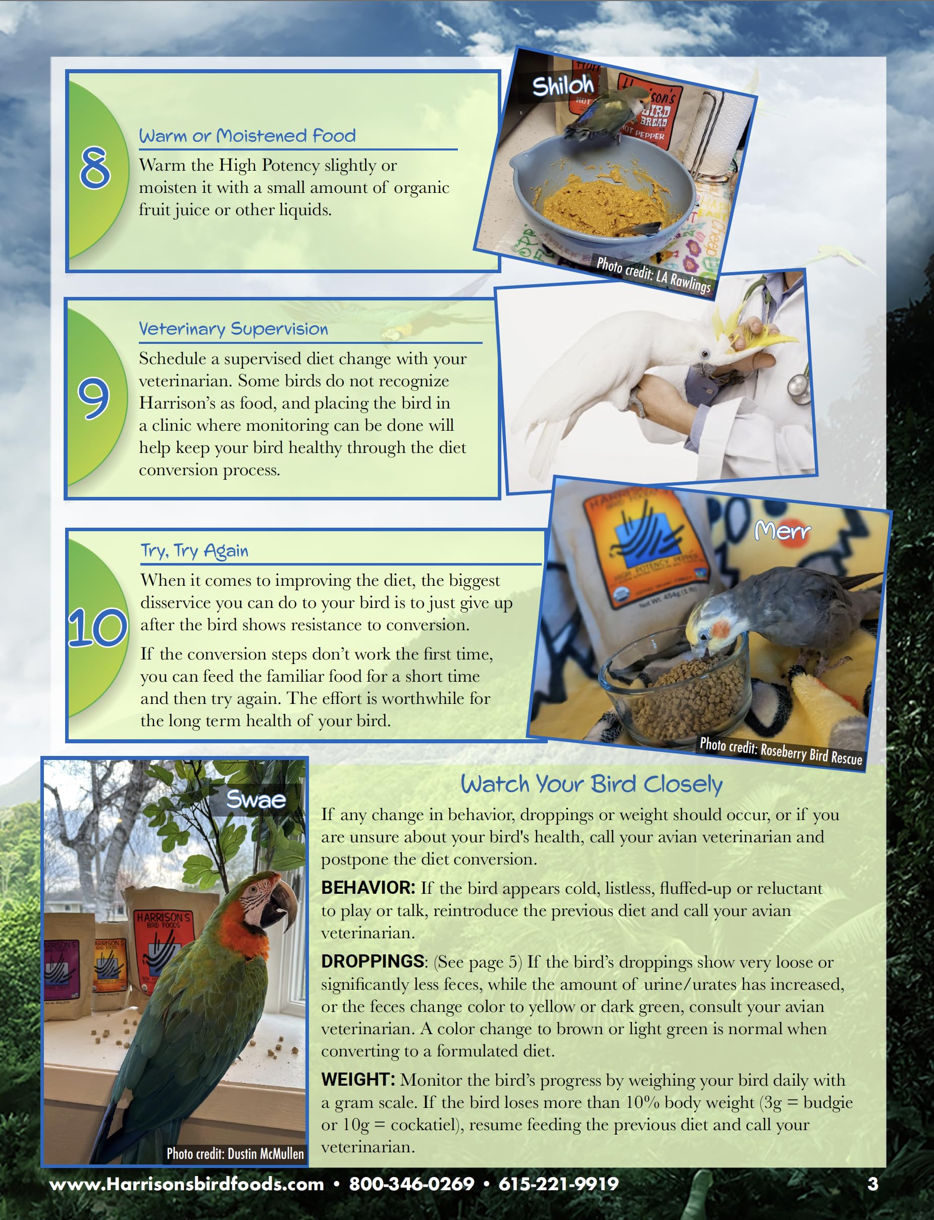 Harrison's Bird Foods ingredientes humanos certificados sin procesamiento excesivo