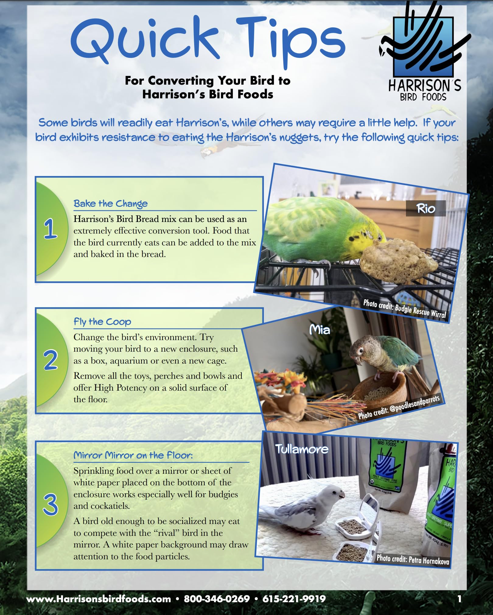 Harrison's Bird Foods apto para aves pequeñas y medianas