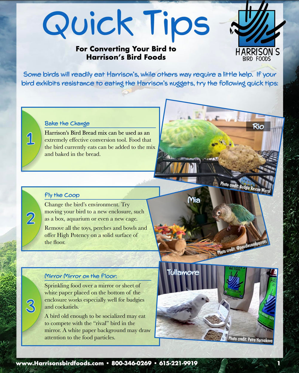 Harrison's Bird Foods apto para aves pequeñas y medianas