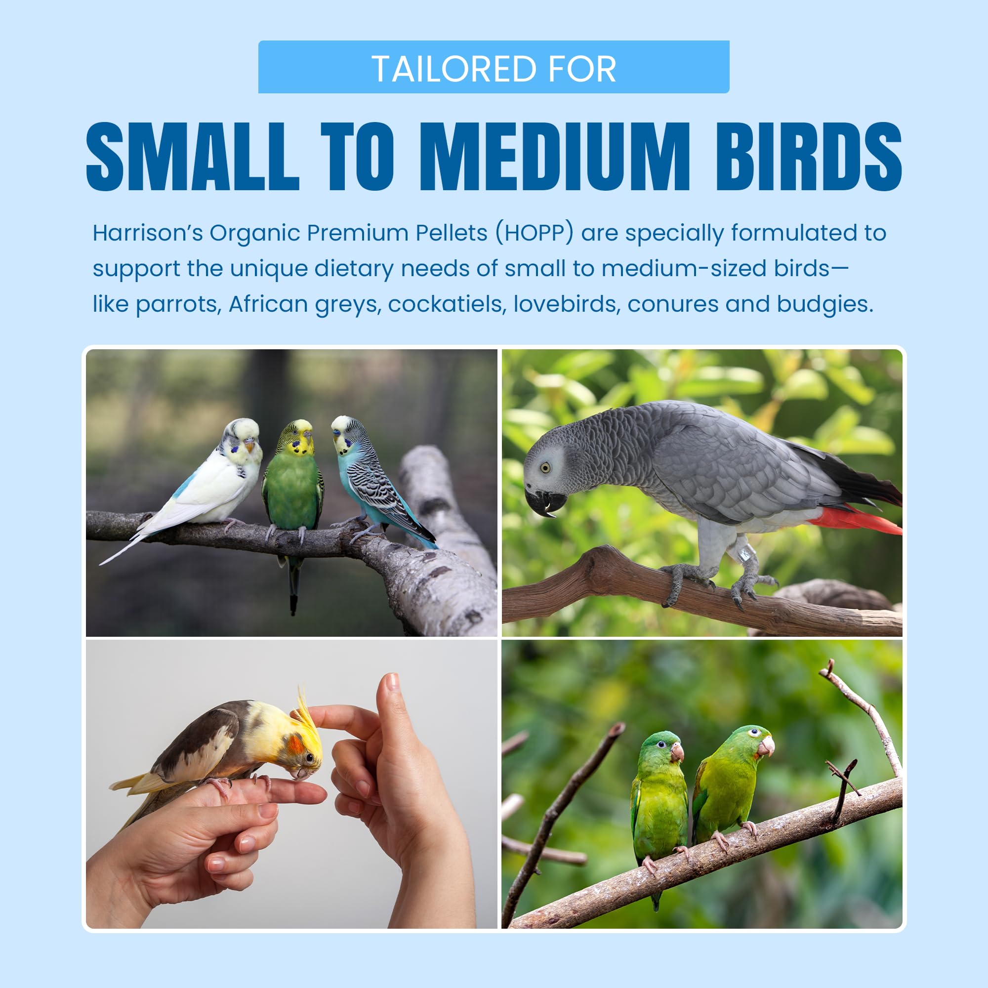 Harrison's HOPP ideal para aves pequeñas y medianas.