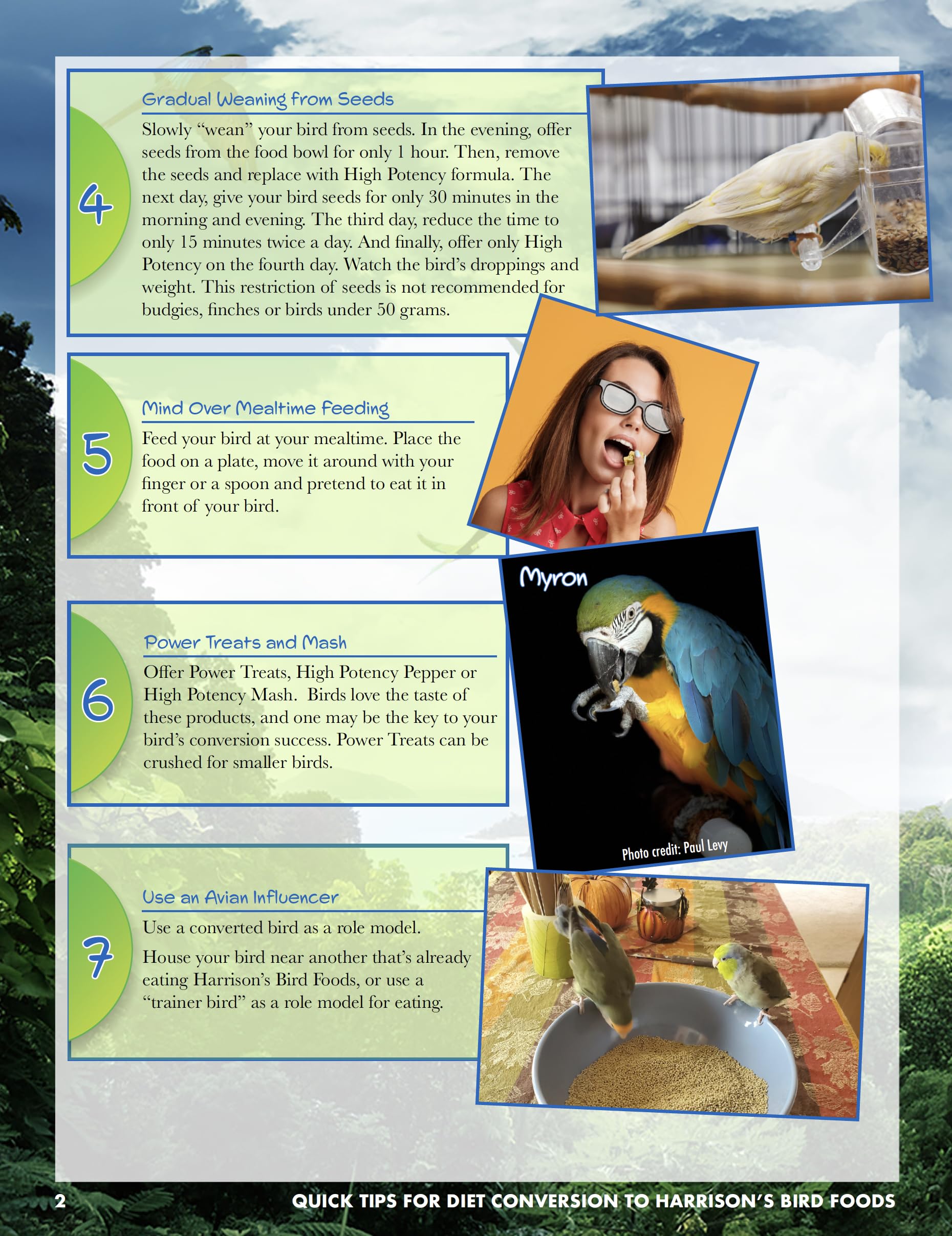 Harrison's Para todas las etapas: alimento completo para aves pequenas durante crecimiento