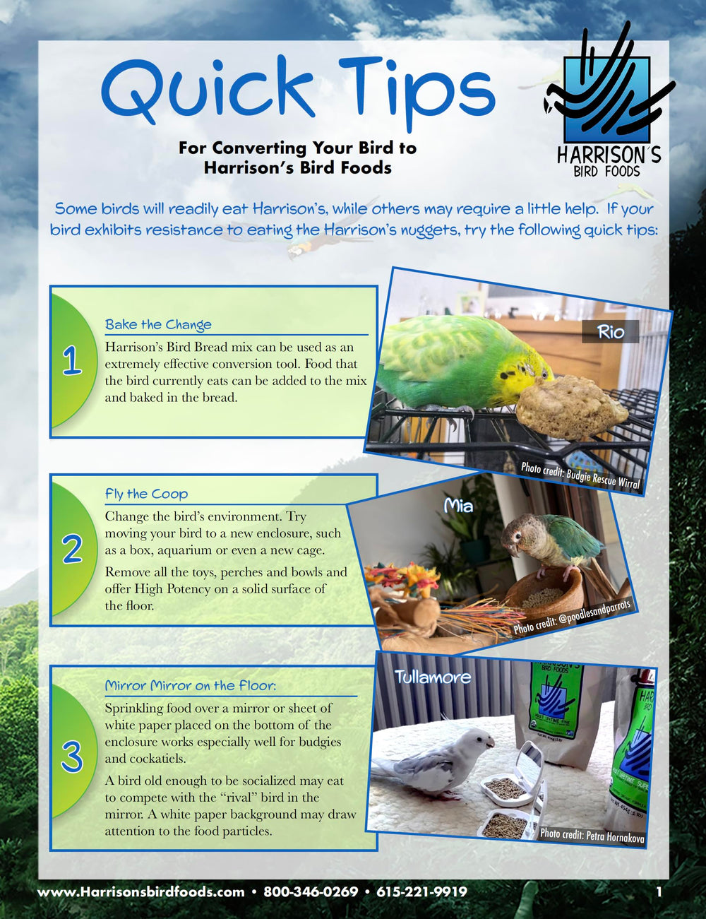 Harrison's Veterinarios disenaron: nutricion balanceada para aves pequenas uso diario