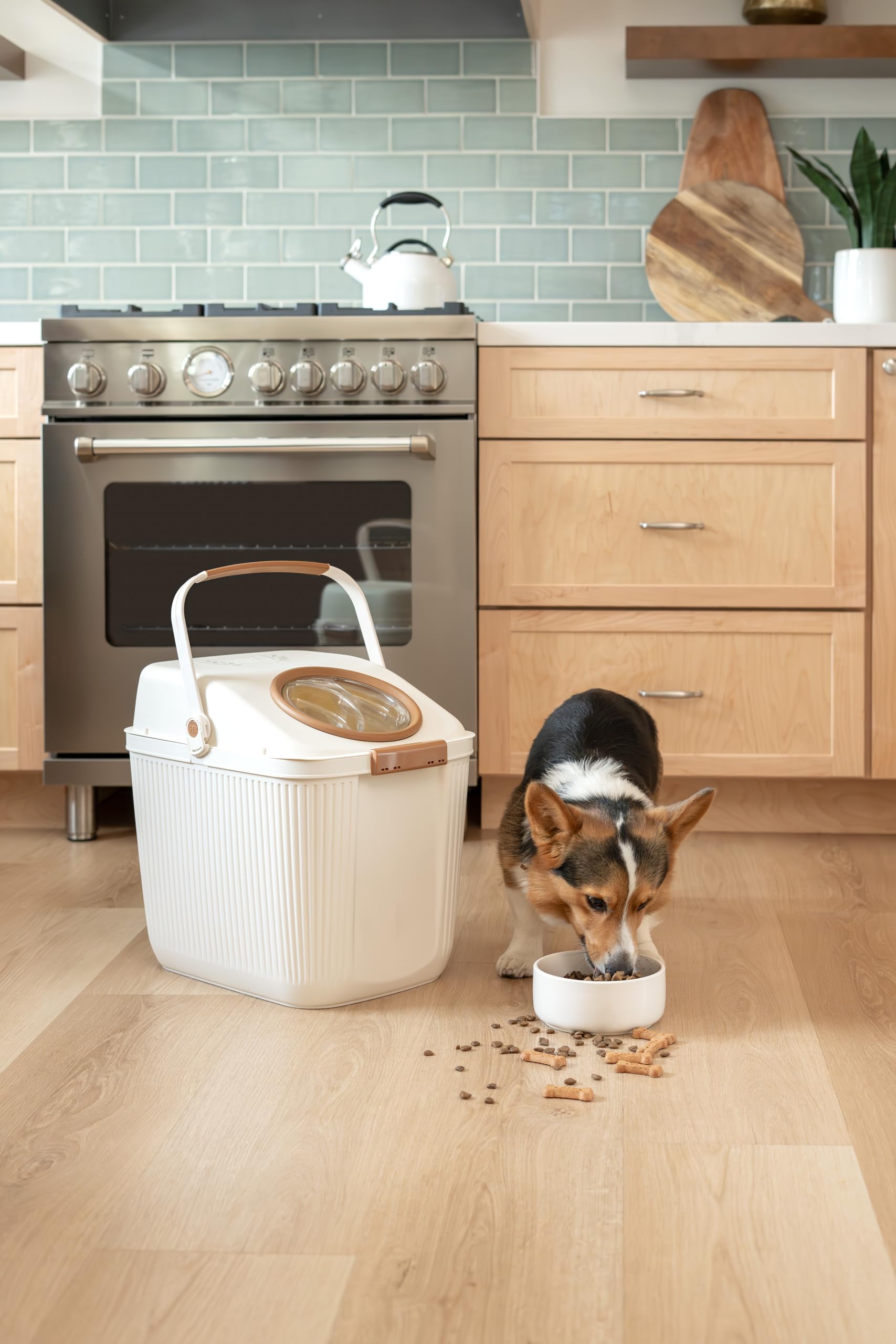 Harry Barker uso-diario-alimento-perro-gato en hogares modernos.
