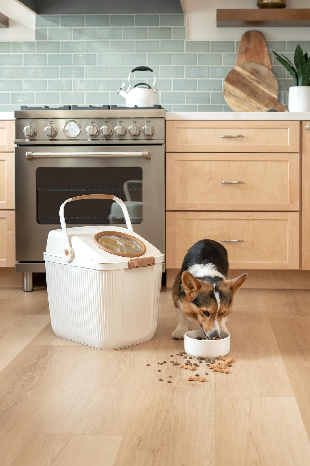 Harry Barker uso-diario-alimento-perro-gato en hogares modernos.