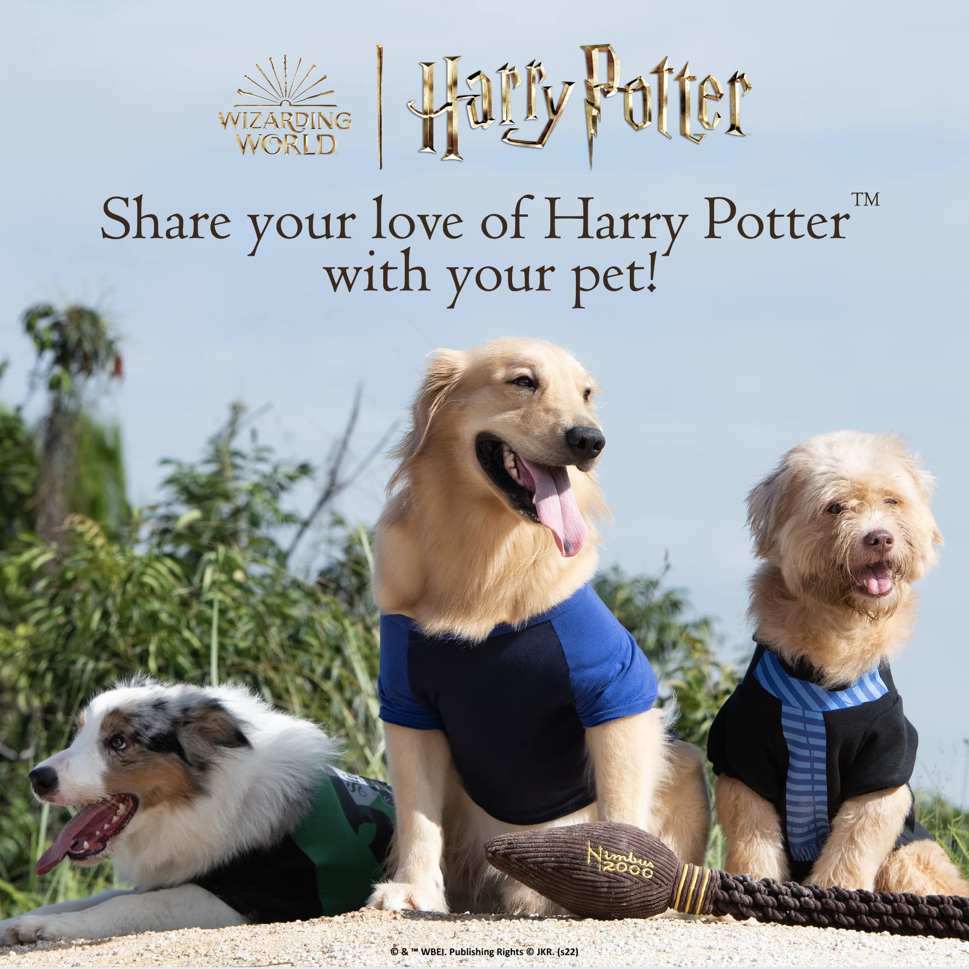 Pack de cuatro pelotas Harry Potter Hogwarts Pride para perros, perfecto para juego y entrenamiento.