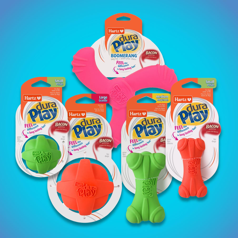 Apto para todas las edades, incluso perros mayores y cachorros