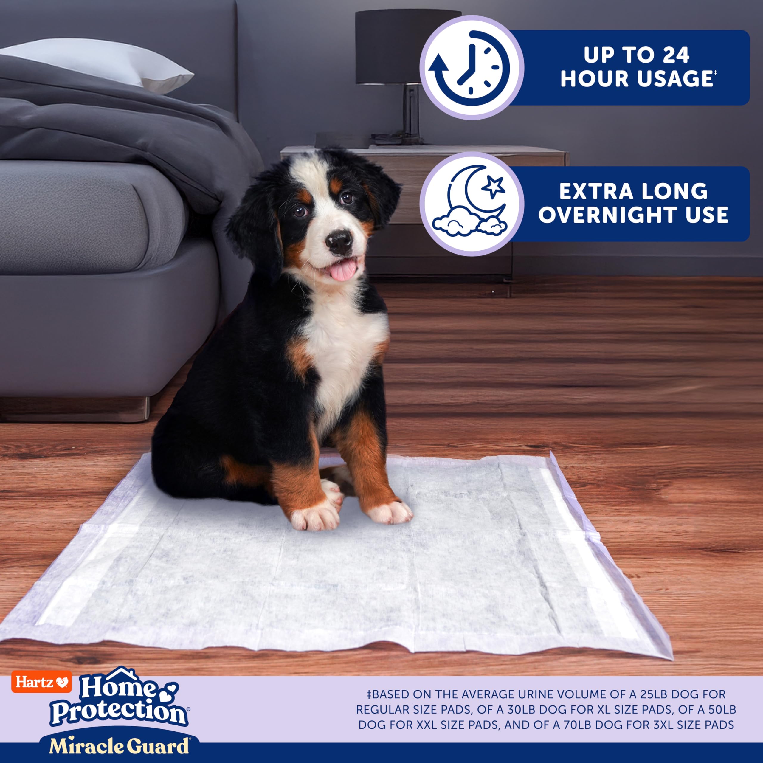 Absorción rápida de Hartz Miracle Guard mantiene el suelo seco.