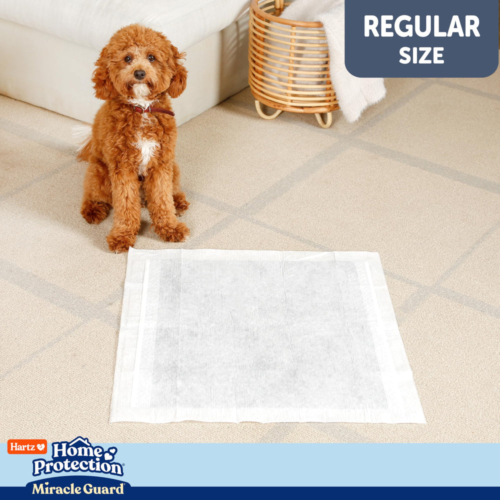 Hartz Miracle Guard disenio-practico: diseño práctico para cambios y manejo diario.