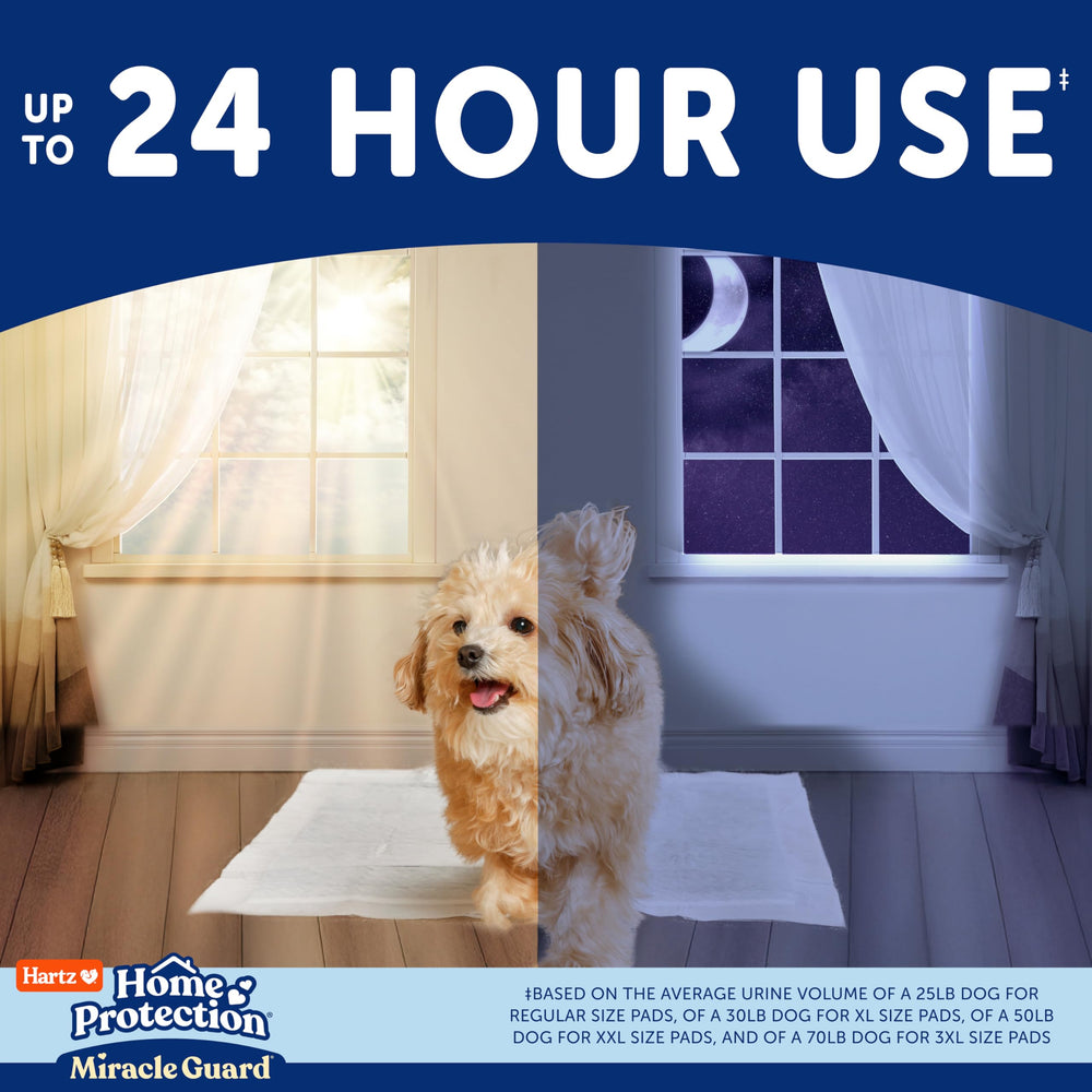 Hartz Miracle Guard tampon chien usage 24h pour maison propre et odeurs maîtrisées.