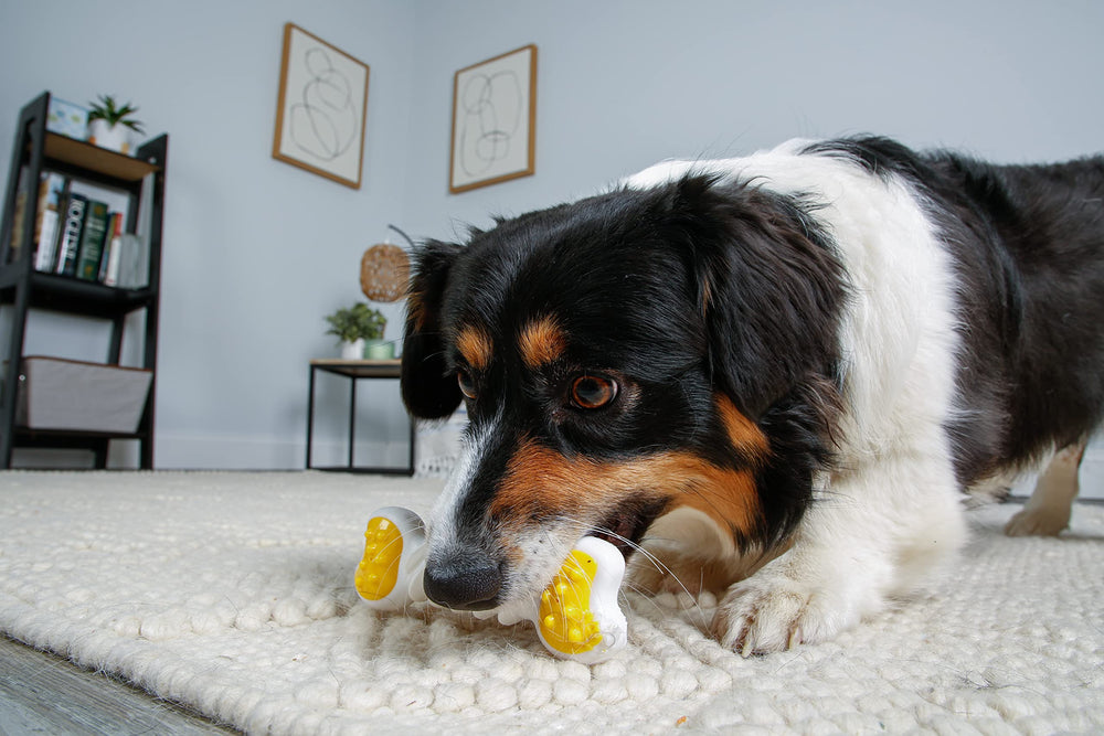 Talla pequeña de Hartz Hueso Torcido para perros pequeños y medianos