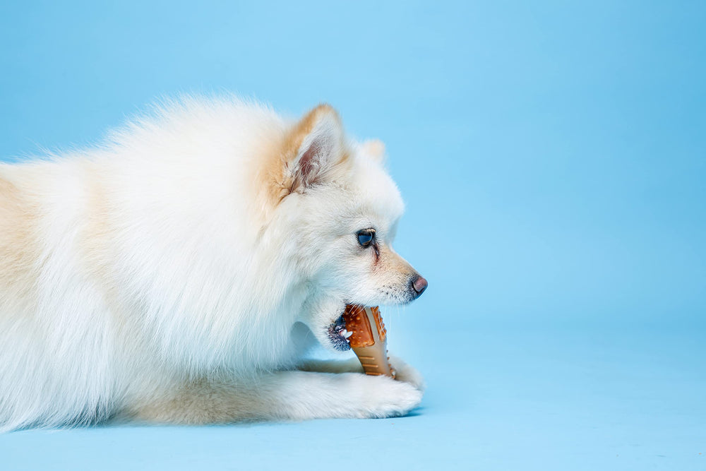 Hartz Palito de Pollo: diseño único para agarrar con las patas
