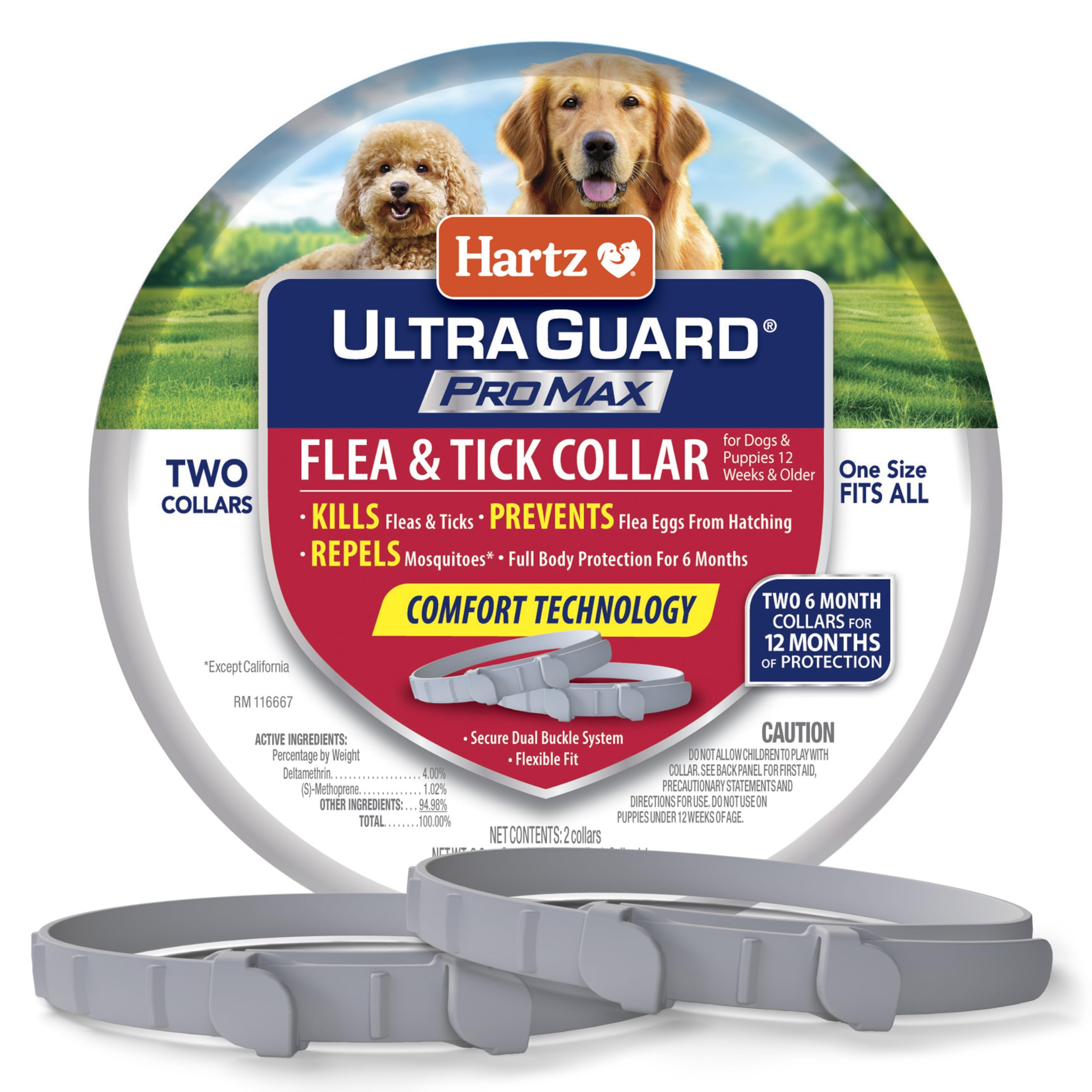 Collar Hartz ProMax para perros en gris, protección prolongada.
