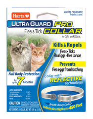 Collar Hartz UltraGuard Pro para gatos en uso diario protege contra pulgas