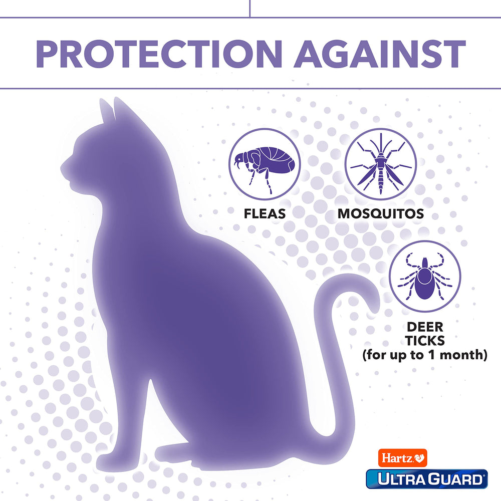 Hartz UltraGuard, apto para gatos y gatitos de 12 semanas.