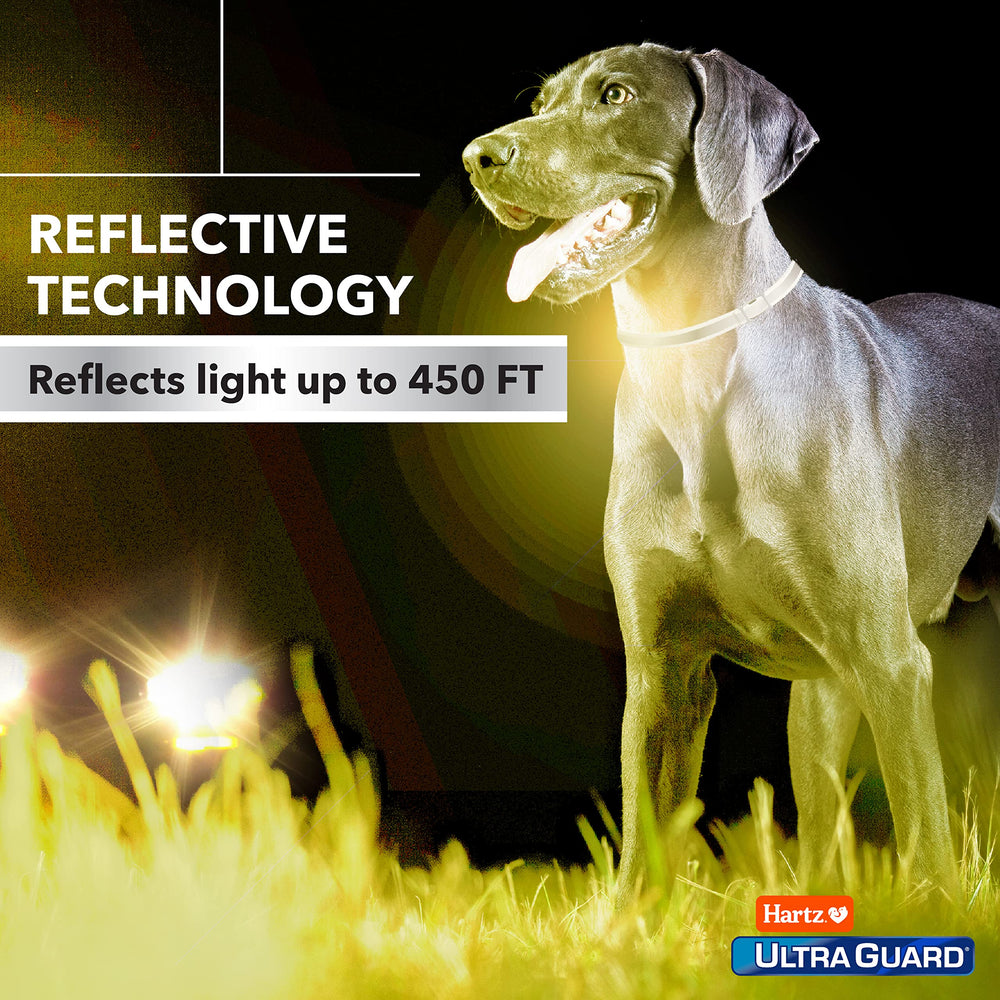 Hartz UltraGuard Pro: collar resistente al agua para paseos bajo la lluvia