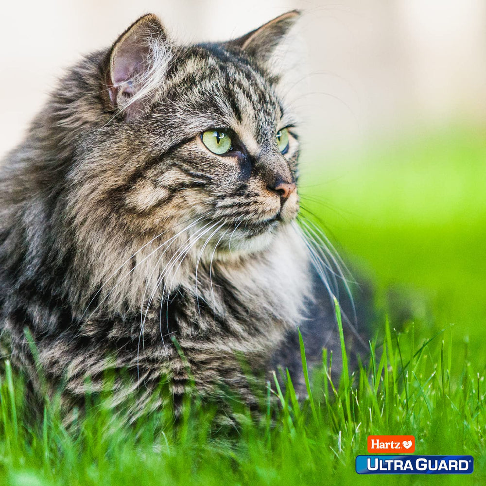 Hartz UltraGuard, tres tratamientos mensuales para conveniencia.