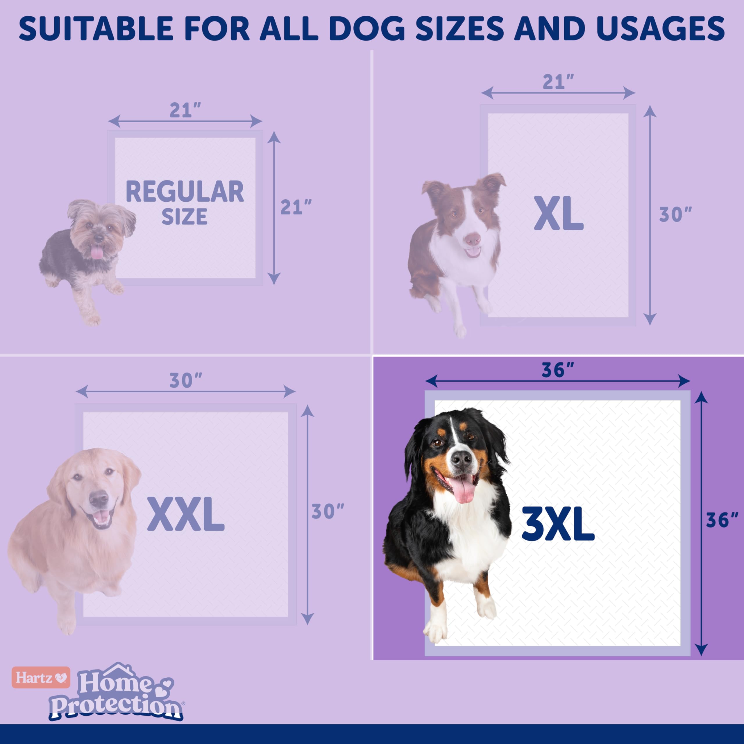 Hartz uso doméstico recomendado para entrenamiento y estancias prolongadas.