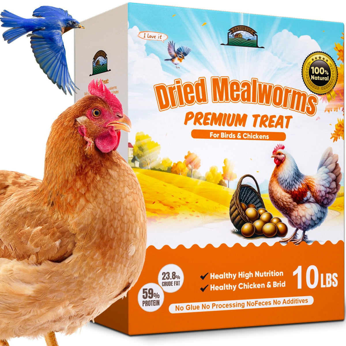 Gusanos de harina Hatortop secos en 10 lb, proteína para aves