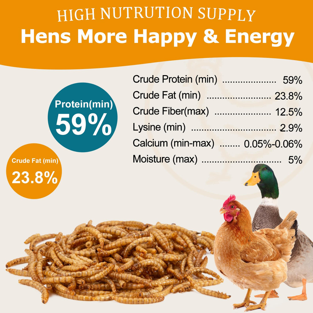 Hatortop lombrices secas, alto contenido proteico 59%, buena energía para aves.