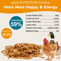 Hatortop lombrices secas, alto contenido proteico 59%, buena energía para aves.