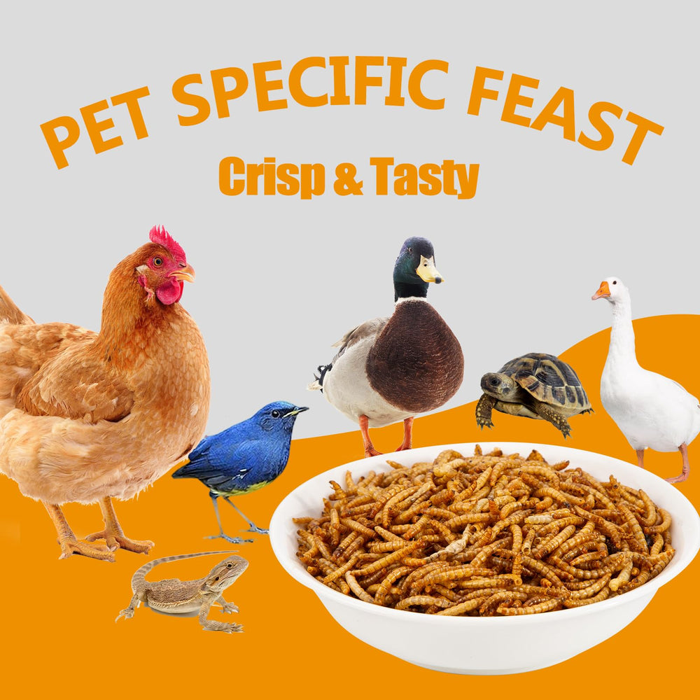 Textura crujiente Hatortop, snack nutritivo para aves
