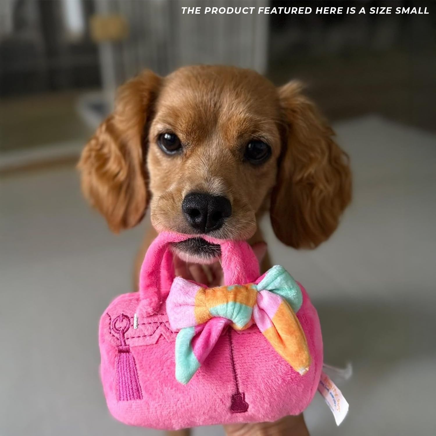 Haute Diggity Dog Barkin Bag, regalo ideal para perros de todas las edades