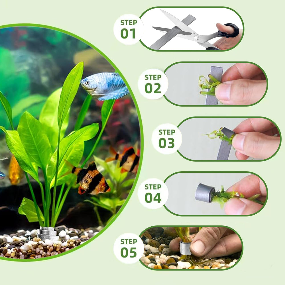 HAVANSIDY: anclajes pesas acuario fijación discreta entre la grava