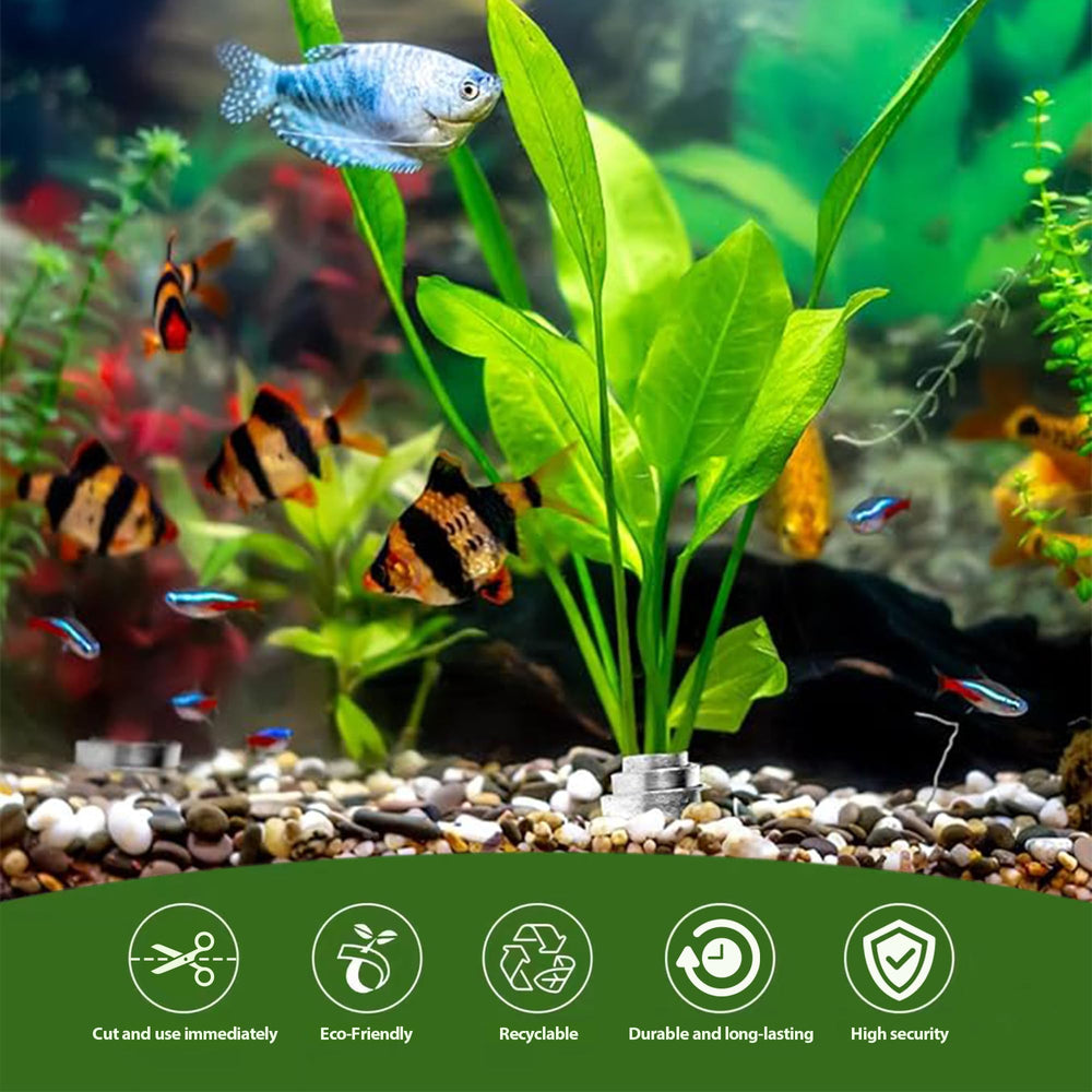 HAVANSIDY conjunto de pesos para fijar plantas de acuario, solución completa