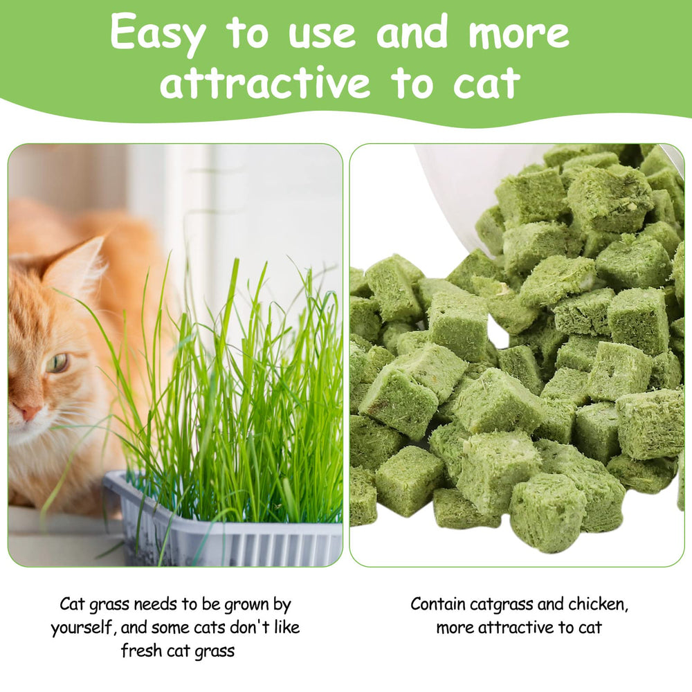 HavenJanny apoyo a higiene dental natural para gatos de interior.