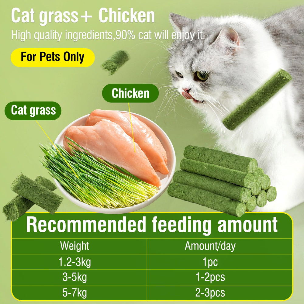 HavenJanny enlatado hierba gato natural: snack crujiente