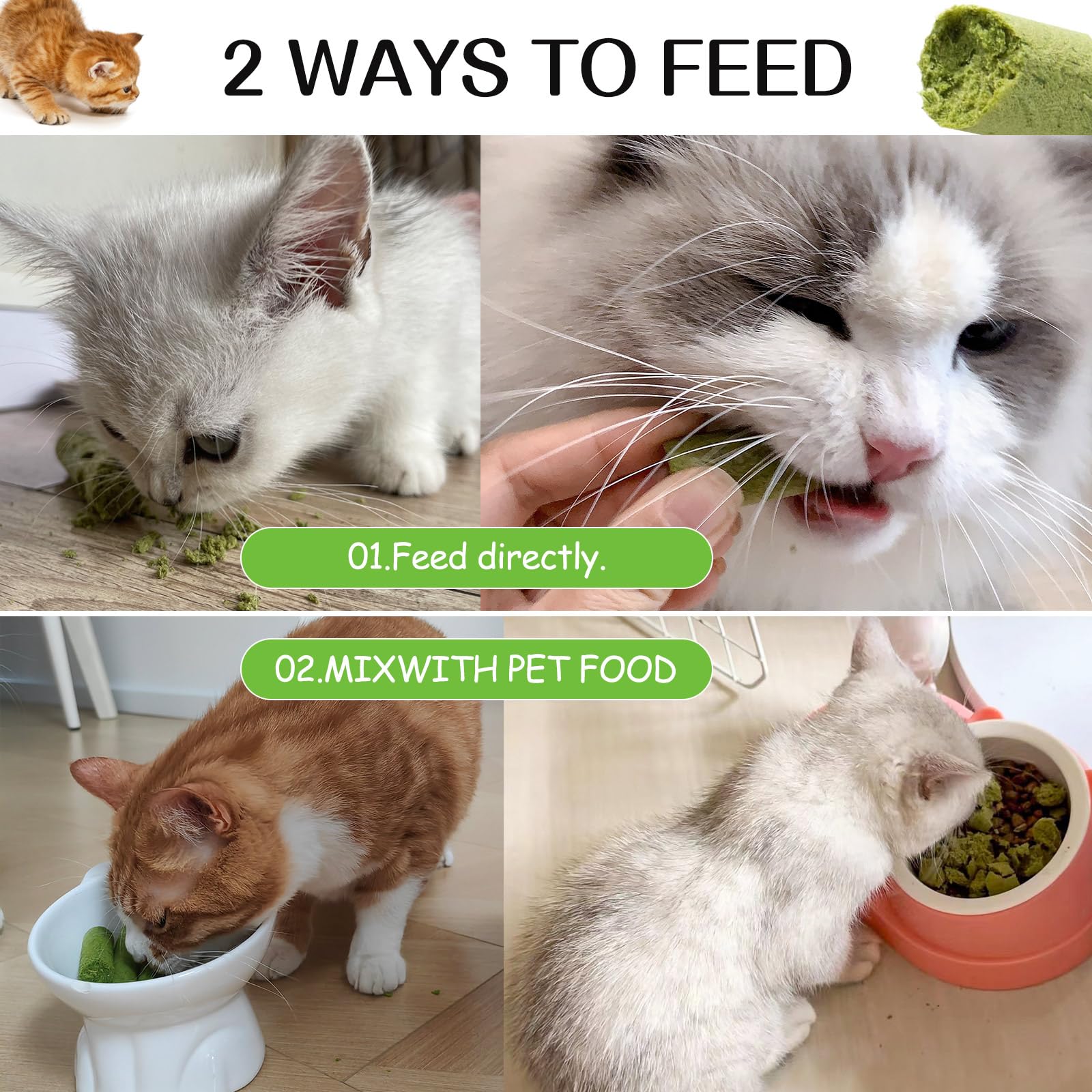 HavenJanny: gato-satisfecho tras probar la hierba para gatos.
