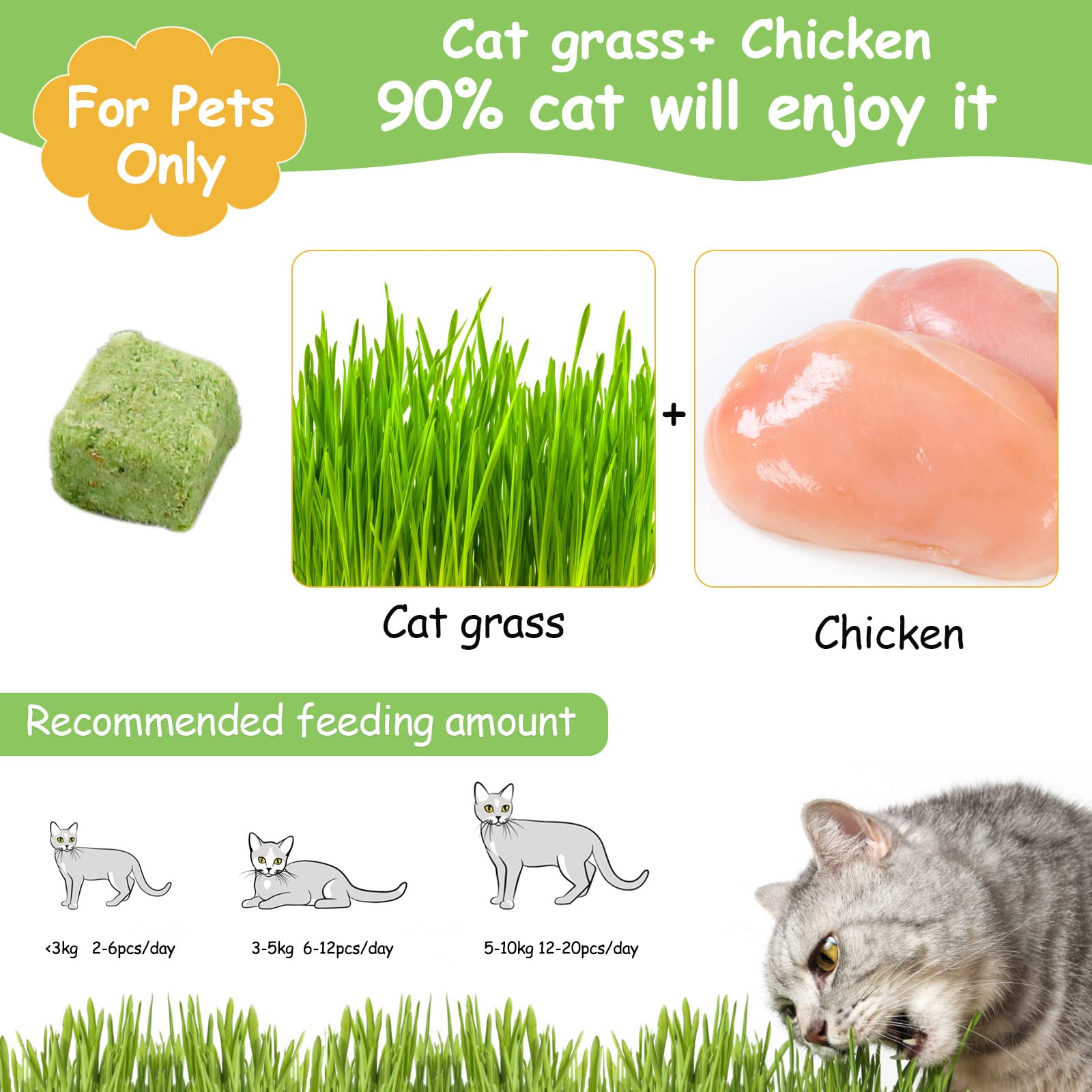 HavenJanny hierba natural para gato con pollo, sabor suave.