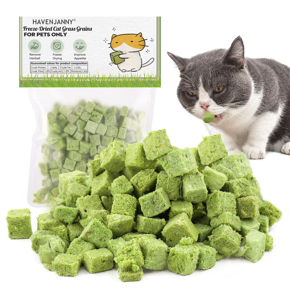 HavenJanny palitos de hierba para gato de 60 g, snack crujiente para dentición.