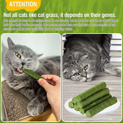 HavenJanny textura crujiente hierba gato: masticación agradable