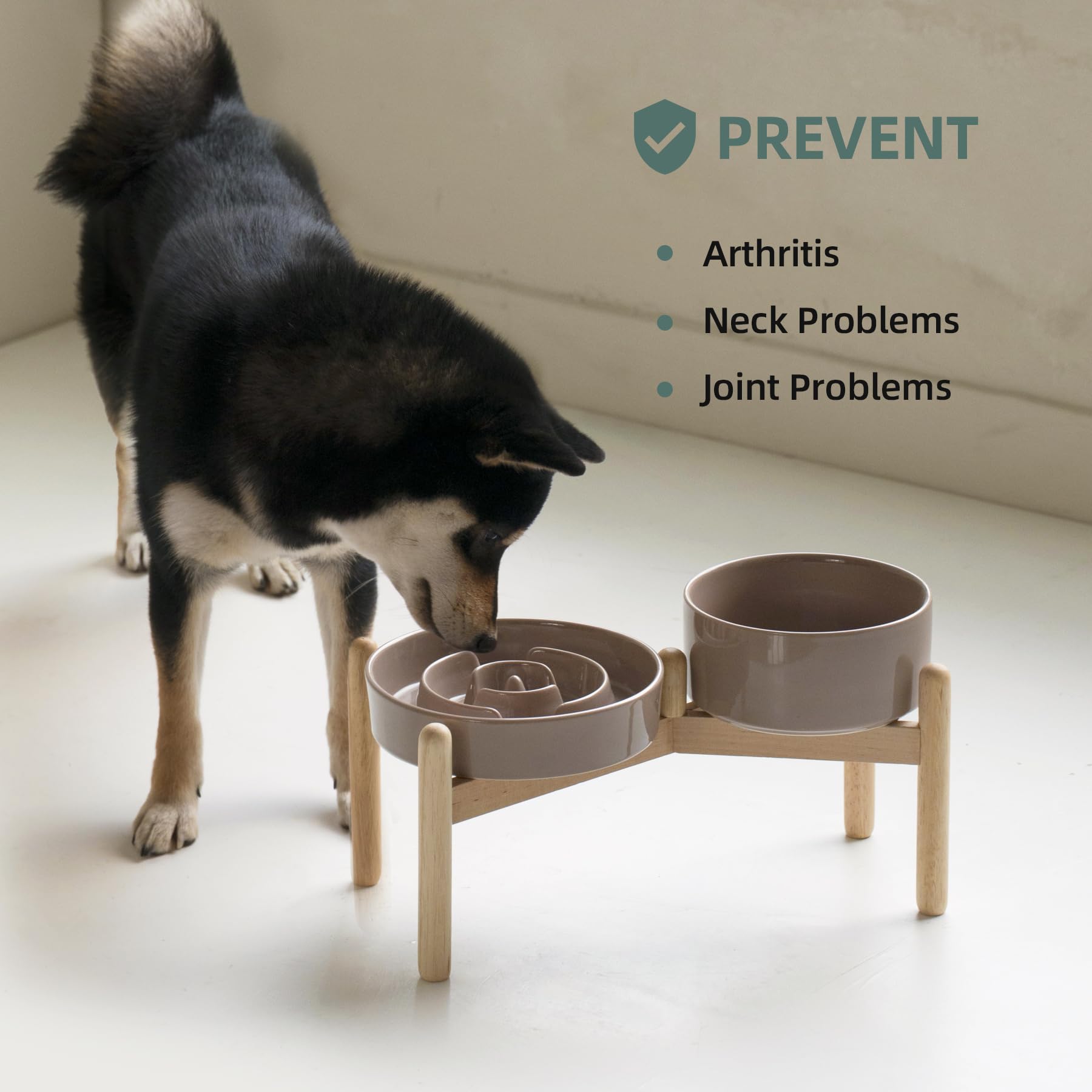 Cerámica sin plomo, material seguro y duradero para perros.