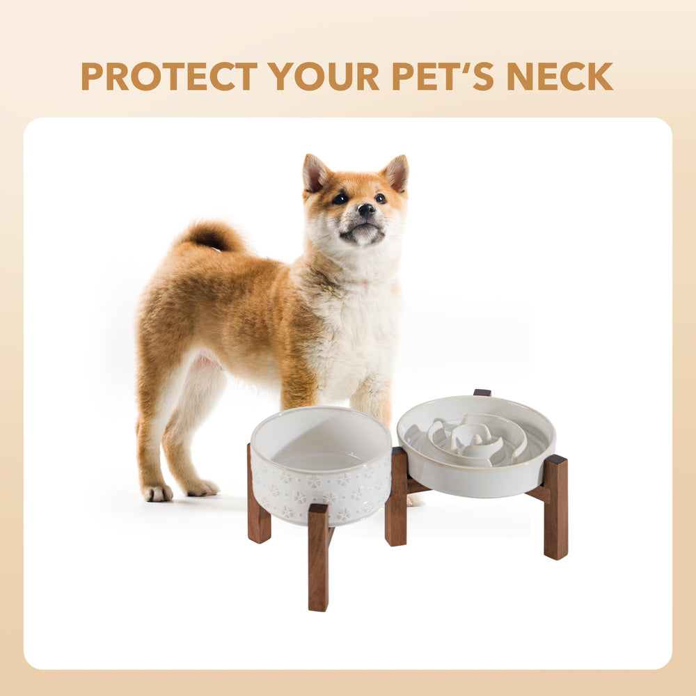 Conjunto elevado de Havniva para perros pequeños y medianos